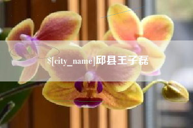 厦门邱县王子磊