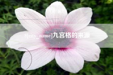 厦门九宫格的来源