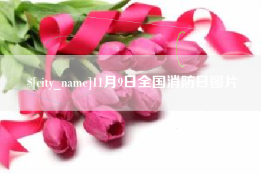 厦门11月9日全国消防日图片