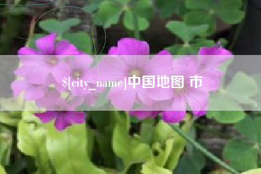 厦门中国地图 市