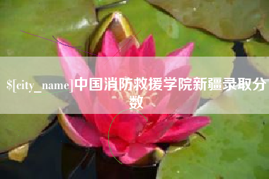 厦门中国消防救援学院新疆录取分数