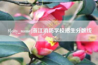 厦门浙江消防学校招生分数线