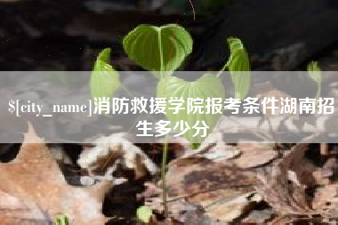 厦门消防救援学院报考条件湖南招生多少分