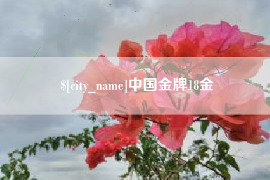 厦门中国金牌18金