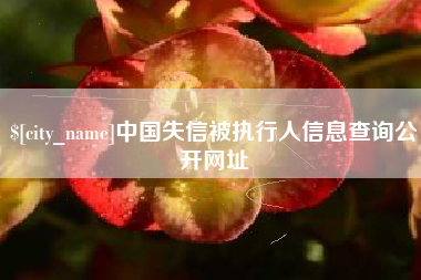 厦门中国失信被执行人信息查询公开网址