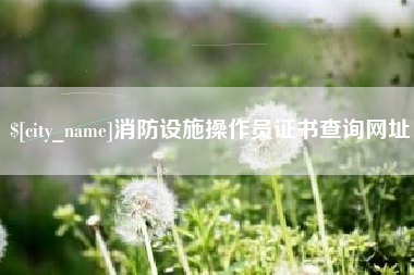 厦门消防设施操作员证书查询网址