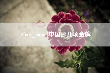 厦门中国哪几项金牌