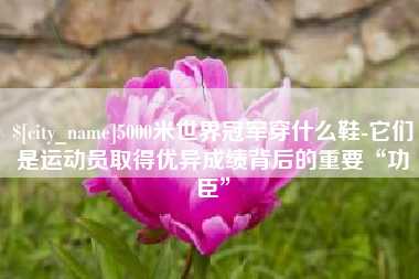 厦门5000米世界冠军穿什么鞋-它们是运动员取得优异成绩背后的重要“功臣”