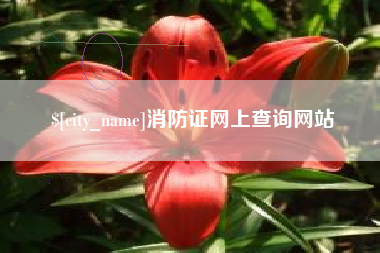 厦门消防证网上查询网站