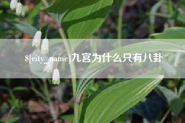 厦门九宫为什么只有八卦