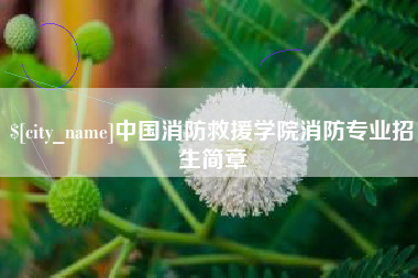 厦门中国消防救援学院消防专业招生简章
