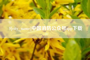 厦门中国消防公众号app下载