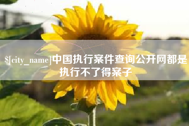 厦门中国执行案件查询公开网都是执行不了得案子