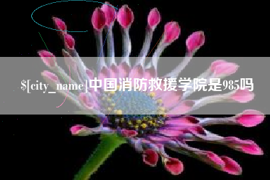 厦门中国消防救援学院是985吗