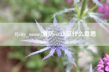厦门消防ccc认证什么意思