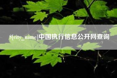 厦门中国执行信息公开网查询