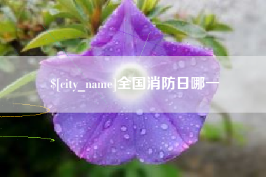 厦门全国消防日哪一