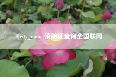 厦门消防证查询全国联网