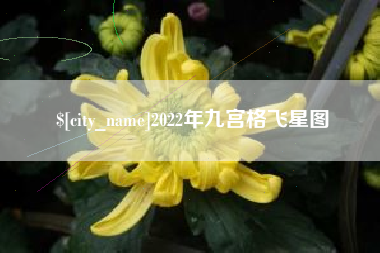 厦门2022年九宫格飞星图