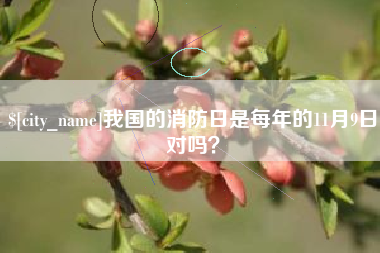 厦门我国的消防日是每年的11月9日对吗？