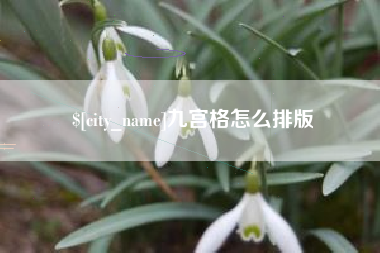 厦门九宫格怎么排版