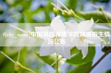 厦门中国消防救援学院湖南招生情况公布