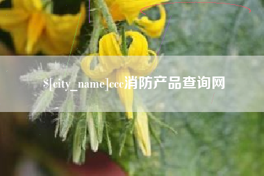 厦门ccc消防产品查询网