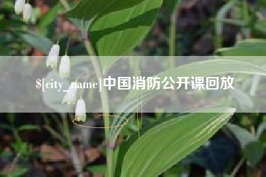 厦门中国消防公开课回放