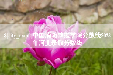 厦门中国消防救援学院分数线2023年河北录取分数线