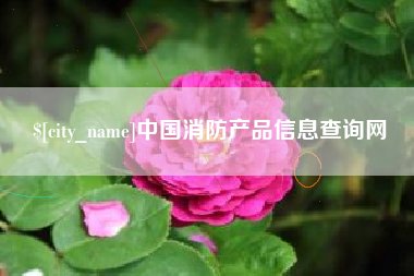 厦门中国消防产品信息查询网