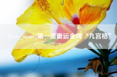 厦门第一波奥运金牌“九宫格”