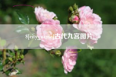 厦门古代九宫图片