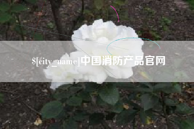 厦门中国消防产品官网