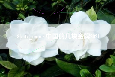 厦门中国的几块金牌2021