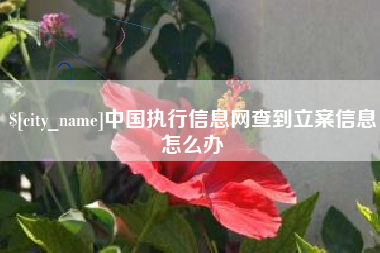 厦门中国执行信息网查到立案信息怎么办