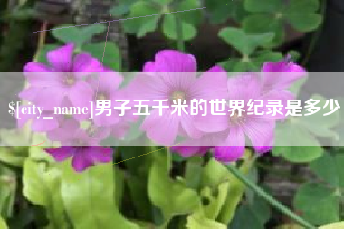 厦门男子五千米的世界纪录是多少