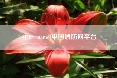 厦门中国消防网平台