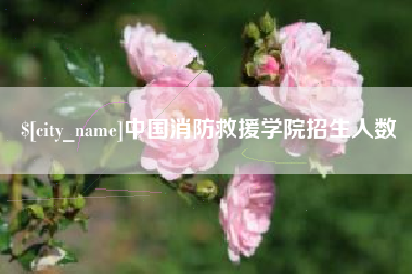 厦门中国消防救援学院招生人数