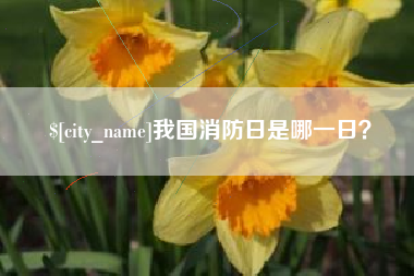 厦门我国消防日是哪一日？