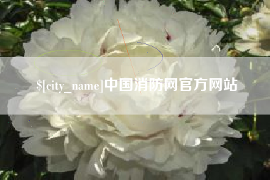 厦门中国消防网官方网站