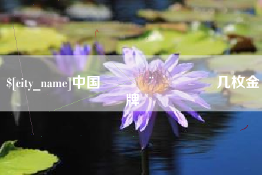 厦门中国🇨🇳几枚金牌