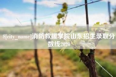 厦门消防救援学院山东招生录取分数线2020
