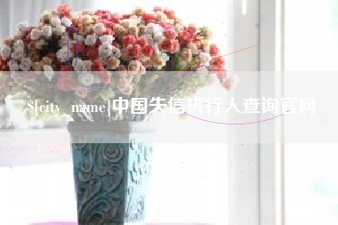 厦门中国失信执行人查询官网