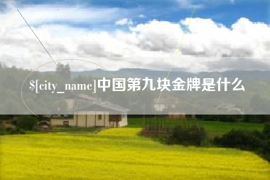 厦门中国第九块金牌是什么