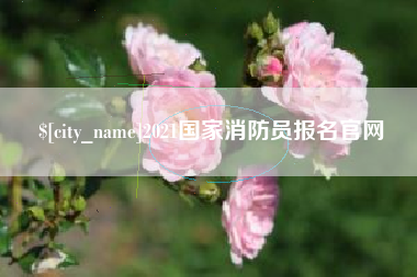 厦门2021国家消防员报名官网