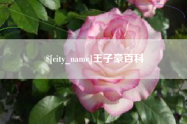 厦门王子豪百科