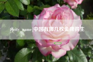 厦门中国有哪几枚金牌得主