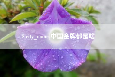 厦门中国金牌都是啥
