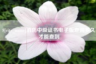 厦门消防中级证书电子版查询多久才能查到