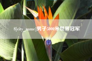 厦门男子5000米世界冠军